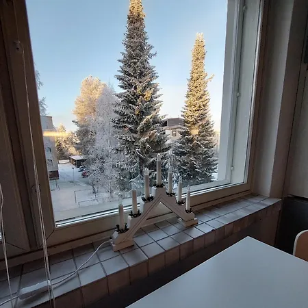 Quiet Studio - Easy Check-in, Free Parking & Wifi Apartment Rovaniemi