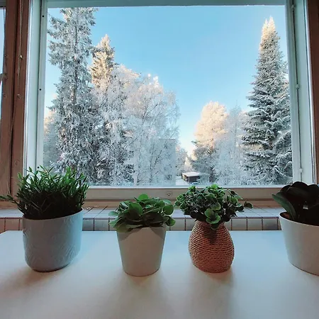 Apartment Quiet Studio - Easy Check-in, Free Parking & Wifi Rovaniemi